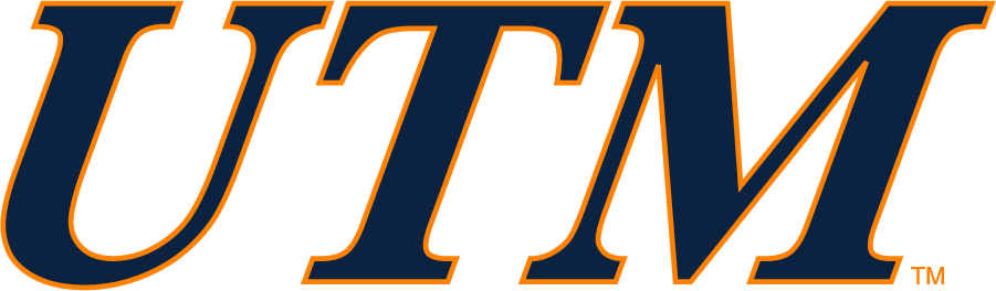 Tennessee-Martin Skyhawks 2007-2017 Wordmark Logo v2 iron on transfers for clothing
